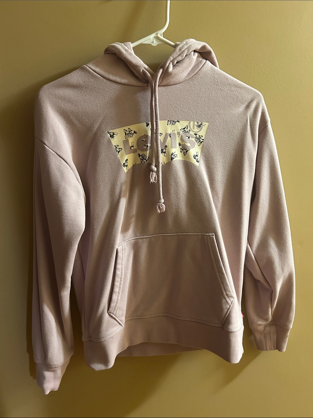 Levi's Light Pink Graphic Hooded Sweatshirt